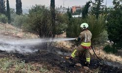 İskenderun'da otluk alan yangını