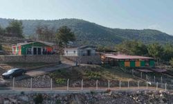 Kozan'da hedef sıfır sahipsiz sokak hayvanı