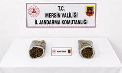 Mersin'de jandarmadan uyuşturucu operasyonu: 2 tutuklama