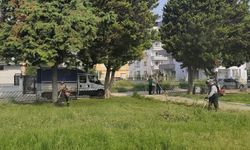 Mersin'de parklar kapsamlı bakımdan geçiyor