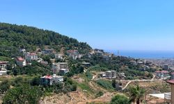 Alanya'da foseptikten dereye uzatılan 'kirli hattı' zabıta ortaya çıkardı