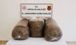 Antalya'da kaçak tütün operasyonunda 365 kilo tütün ele geçirildi