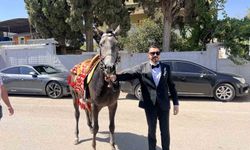Atla gelin almaya giden damadın planını trafik bozdu