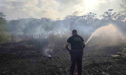 Defne'de bahçe yangını geniş alana yayılmadan söndürüldü