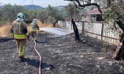 Defne'de zeytinlik alanda yangın yaşandı