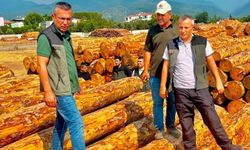 Dörtyol'da orman işletmesinin çalışmaları değerlendirildi