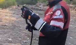 Hatay'da yerleşim yerlerinde görülen yılanlar doğal yaşam alanına bırakıldı
