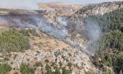 Hatay'daki orman yangını kontrol altına alındı