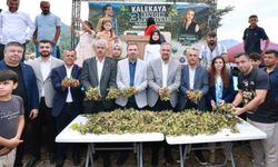 Kahramanmaraş'ın Karadeniz'i Kalekaya'da Fındık Festivali