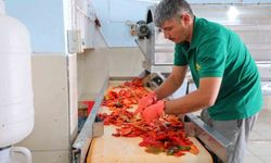 Kahramanmaraş'ta biber salçası mesaisi başladı