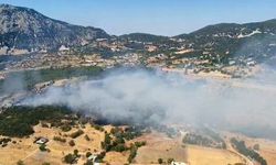 Kaş'ta çıkan ormanlık alan yangını 2,5 saatte kontrol altına alındı