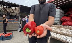 Osmaniyeli kadınların salça ve konserve mesaisi başladı
