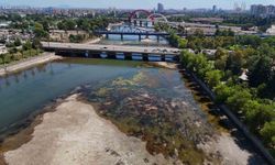 Seyhan Nehri'nde sular çekildi, kirlilik ortaya çıktı