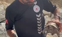 Yangın bölgesinde canlıların tahliyesi için seferber oldular