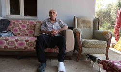Yaşlı adama çarpıp hiçbir şey olmamış gibi yoluna devam etti