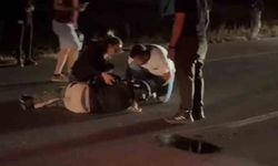 Avrupa turuna çıkan Fransız turist, koyunlara çarptı: 3 koyun telef oldu