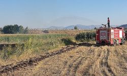Burdur'da ot yangını büyümeden söndürüldü