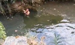 Derede mahsur kalan kaplumbağayı yüzerek kurtardı