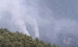 Hatay'daki orman yangını kontrol altına alındı