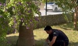 Havalandırma boşluğuna düşen 3 yavru kediyi itfaiye kurtardı
