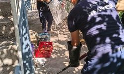 İskenderun'da evin içerisinde görülen yılan yakalandı