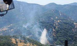 Kahramanmaraş'taki orman yangınları söndürüldü