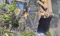 Manavgat'ta zeytinlik yangında 100 ağaç zarar gördü
