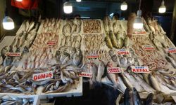 Mersin'de av yasağının kalkmasıyla balık tezgahları şenlendi