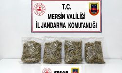 Mersin'de uyuşturucu operasyonu: 2 gözaltı