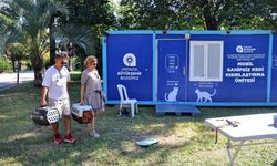 Mobil sahipsiz kedi kısırlaştırma ünitesi Karaalioğlu Parkı'nda