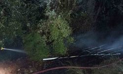 Osmaniye'de çıkan orman yangını büyümeden söndürüldü