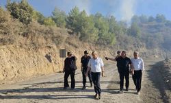 Serik'teki yangının ardından hasar tespit çalışmaları başladı