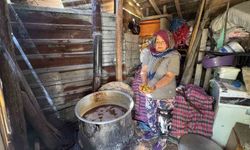 Torosların taş eriği sofralara iniyor 10 kilo erikten 1 kilo ekşi çıkıyor kilogramı 500 liradan satılıyor