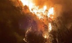 Alanya’da Orman Yangını