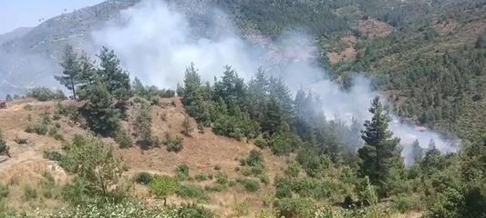 Adana'da orman yangını