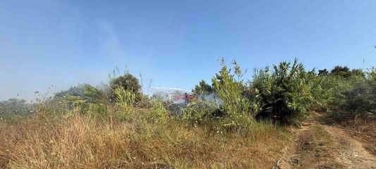 Manavgat'ta kamışlık alanda çıkan yangın söndürüldü