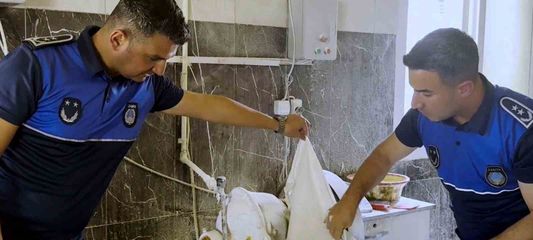 Tarsus'ta fırın denetimlerinde haşereli hamur tespit edildi