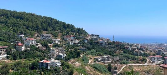 Alanya'da foseptikten dereye uzatılan 'kirli hattı' zabıta ortaya çıkardı