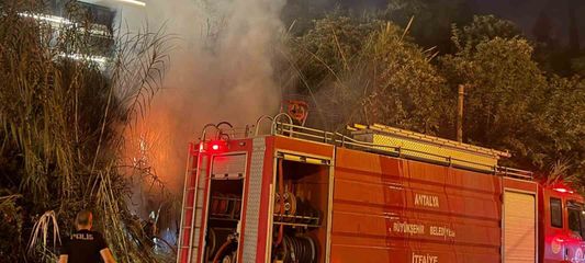 Alanya'da sazlık alanda yangın