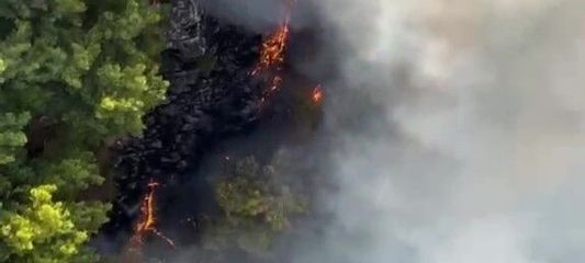Antalya'da orman yangını