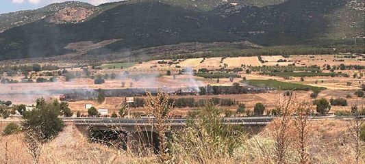Burdur'da 20 dönümlük otluk alanda yangın