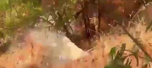 Kaş'ta denize atık su karışmasına 839 bin lira ceza