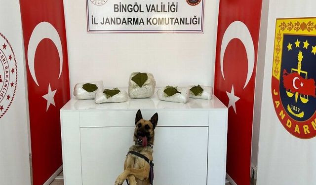 Bingöl’de toprağa gömülü toz esrar bulundu
