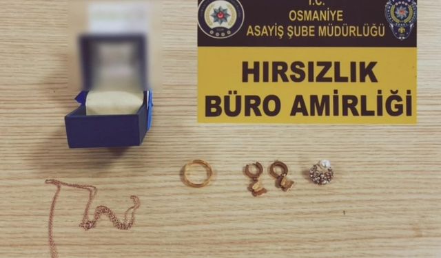 Osmaniye’de hırsızlara yönelik operasyonda 7 kişi tutuklandı