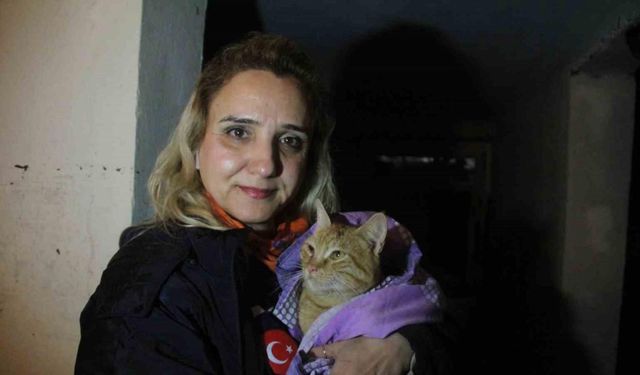 Sel suyuyla dolu bodrum katta ölümü göze alıp kedisini kurtaran kadın o anları anlattı