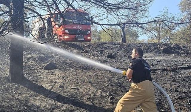 Antakya’da bahçe yangını