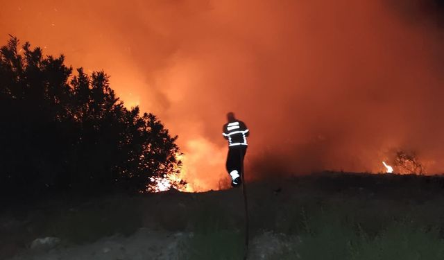 Antakya’da ormanlık alanda yangın