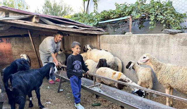 Arabasını satarak hayvancılığa başlayan depremzede baba ve böbrek hastası 2 evladının umudu olan 22 koyunu polis ekipleri buldu