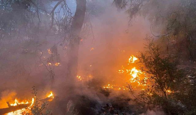 Burdur’da çıkan orman yangını kontrol altına alındı