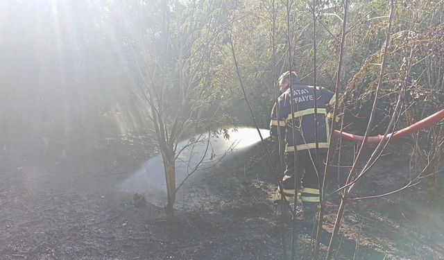 Samandağ’da bahçe yangını söndürüldü